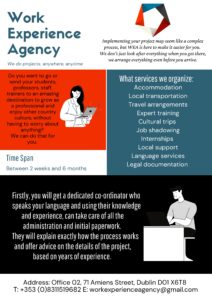 oferta firmy Work Experience Agency