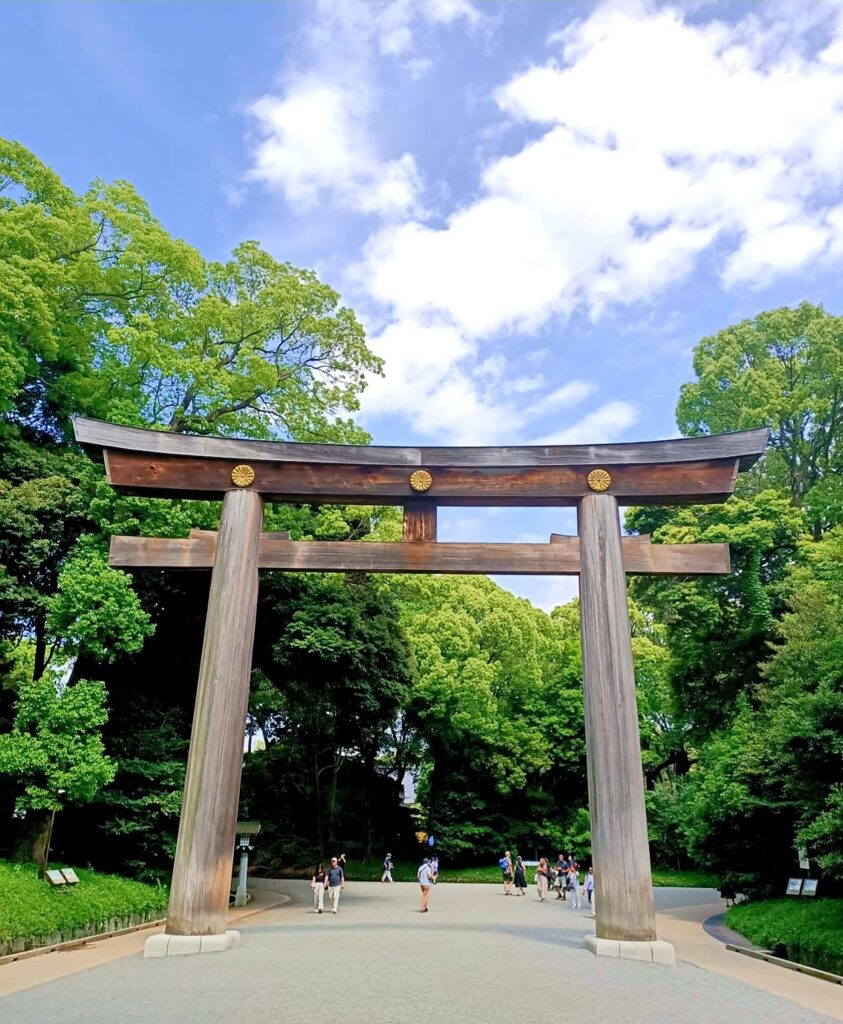 Dr hab. Zygmunt Waśkowski szkoli się w Meiji University of Tokyo (Japonia)